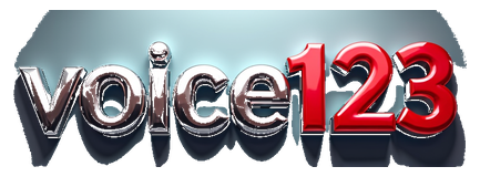 voice123 logo